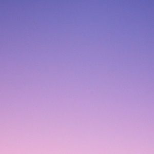 Meet your Posher, Bridget